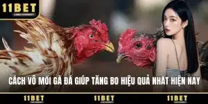 Cách vô mồi gà đá