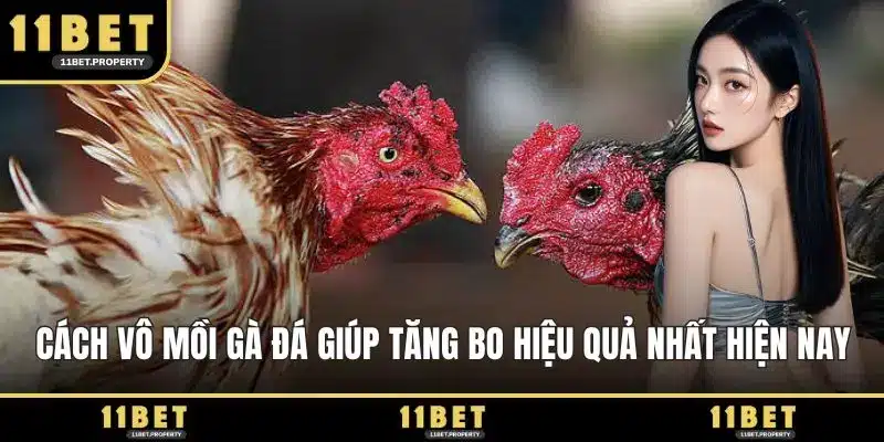 Cách vô mồi gà đá