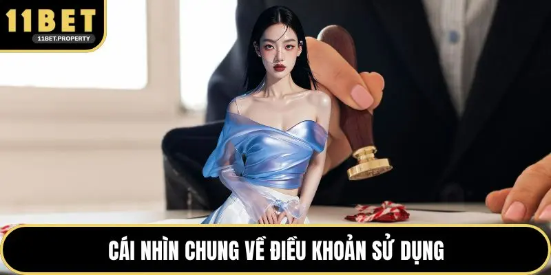 Cái nhìn chung về điều khoản sử dụng