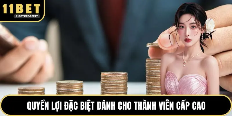 Quyền lợi đặc biệt dành cho thành viên cấp cao