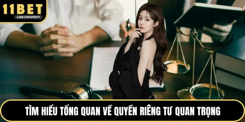 Tìm hiểu tổng quan về quyền riêng tư quan trọng